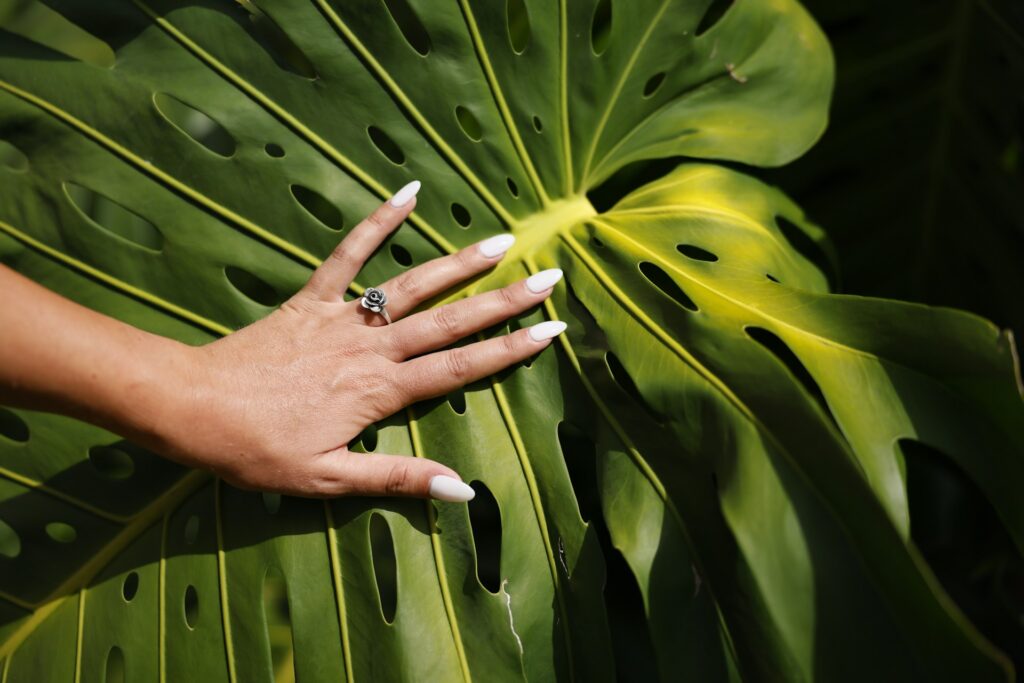 beste nagelstudio Den Haag beste nagelstudio Den Haag